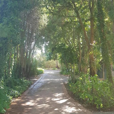 Te Amo Guesthouse Στέλενμπος Εξωτερικό φωτογραφία