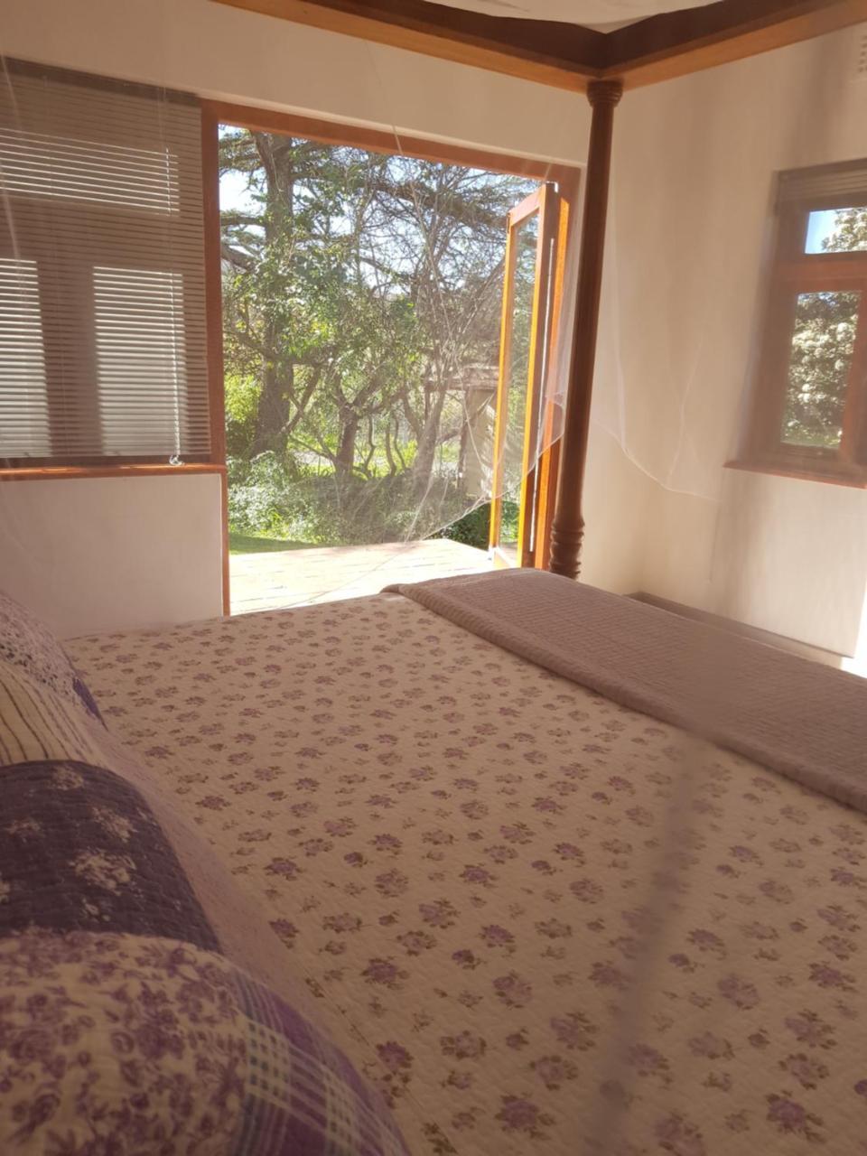 Te Amo Guesthouse Στέλενμπος Εξωτερικό φωτογραφία